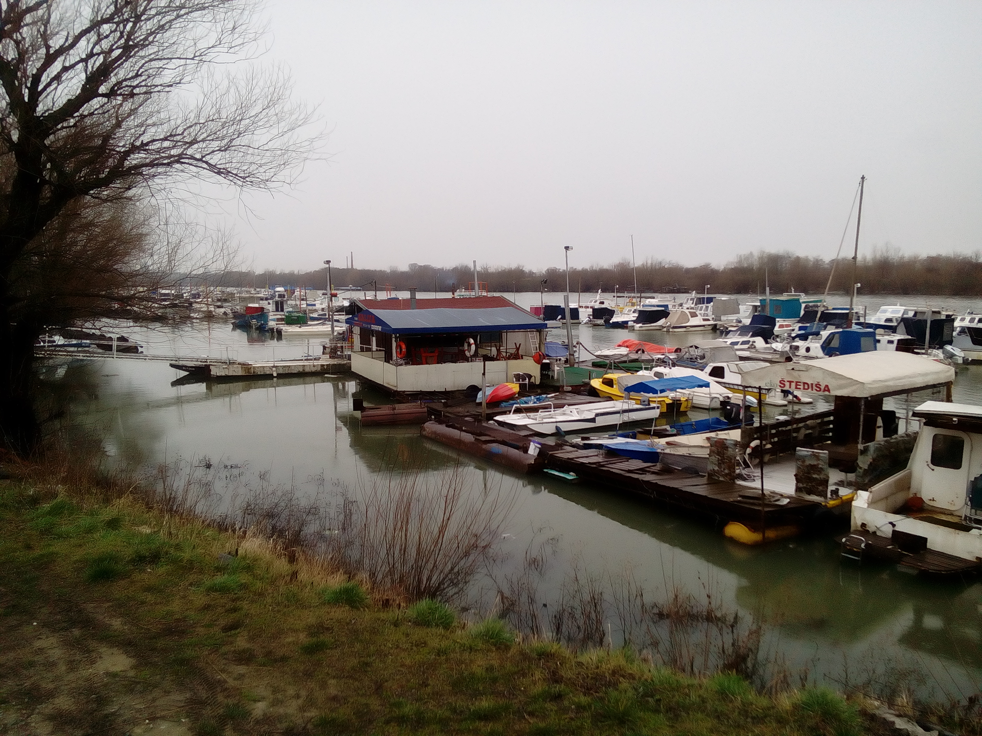 IMG_20180222_094752.jpg